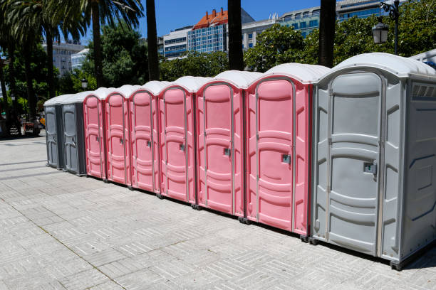 Best Portable Toilet Rental for Emergency Services  in Lapeer, MI